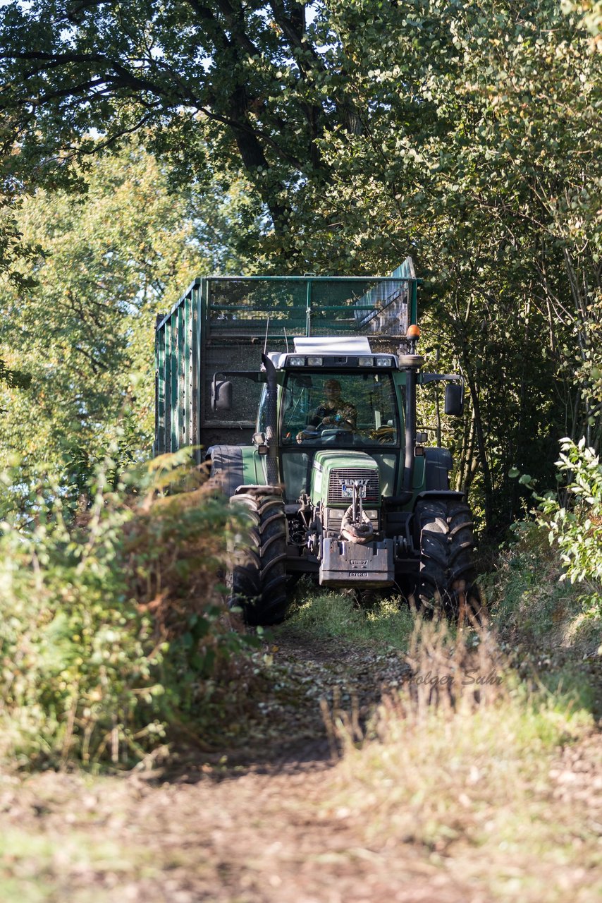 Bild 124 - Maisernte